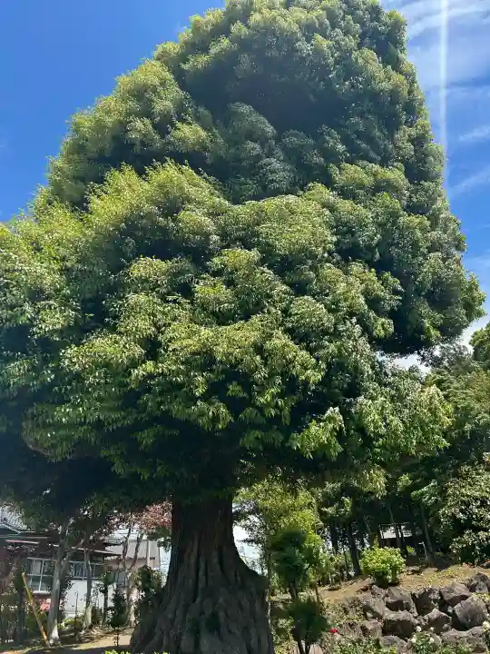 埴生神社(千葉県)