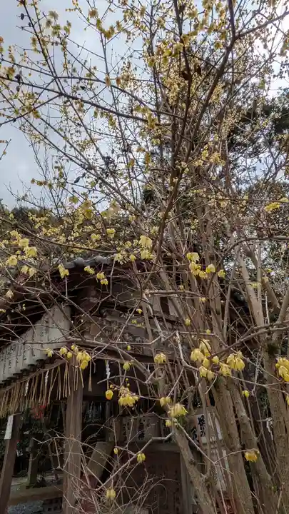 大豊神社(京都府)