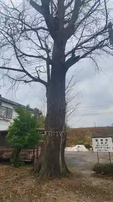 諏訪社(新潟県)