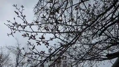 神居神社遥拝所(北海道)