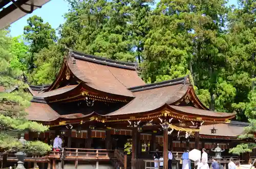 多賀大社(滋賀県)