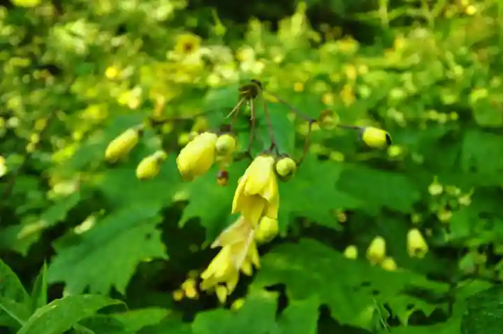 劔神社(徳島県)