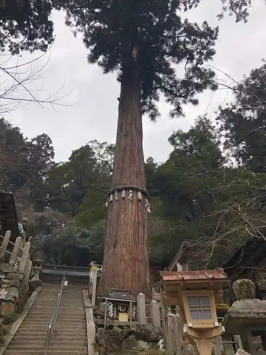 由岐神社(京都府)
