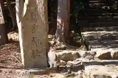 玉野御嶽神社(愛知県)