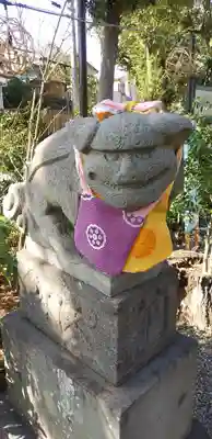 菊田神社の狛犬