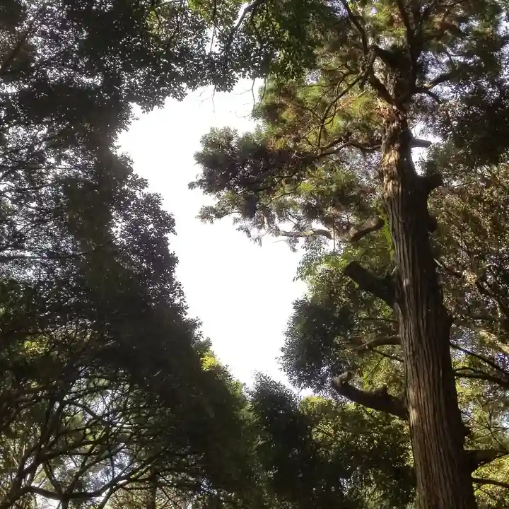 金砂神社の自然