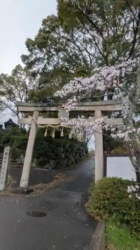 佐久奈度神社(滋賀県)