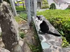 王子神社の動物