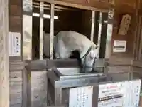 多度大社の動物