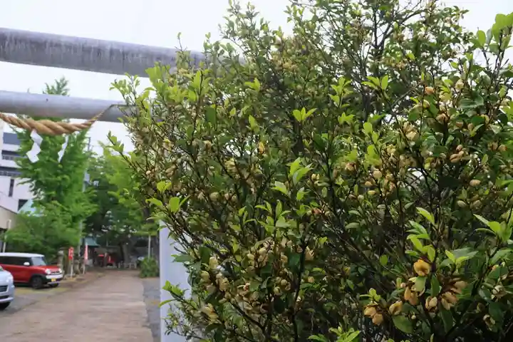 阿邪訶根神社の自然