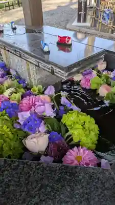 新琴似神社(北海道)