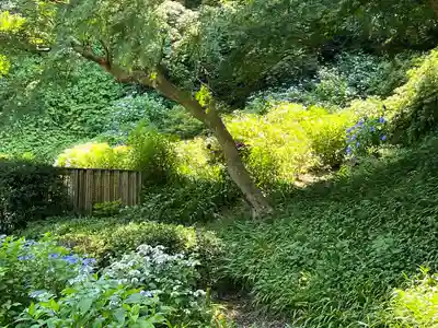 長壽寺（長寿寺）(神奈川県)