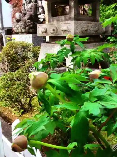 成願寺(東京都)