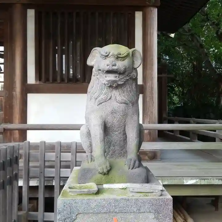 綾瀬稲荷神社の狛犬