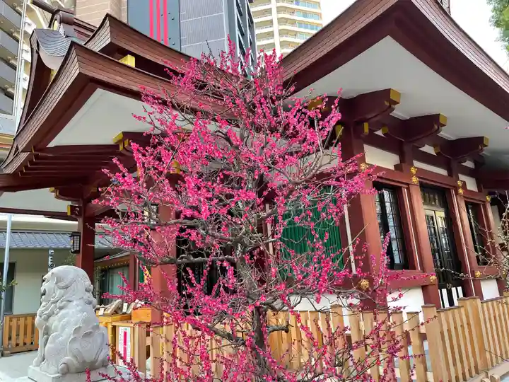 蒲田八幡神社の自然