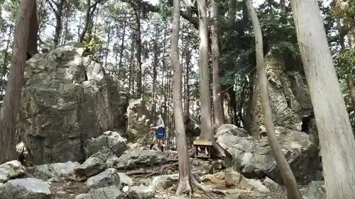 渭伊神社の自然