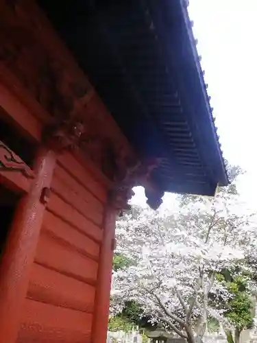 妙本寺の山門