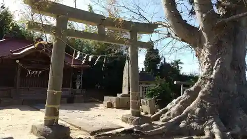 須賀神社の鳥居