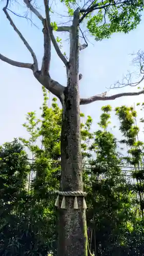 尾陽神社の自然