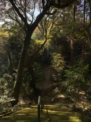 熊野神社(千葉県)