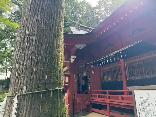 富士山東口本宮 冨士浅間神社(静岡県)