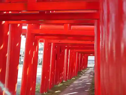 小泉稲荷神社の鳥居