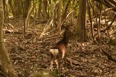 高山寺(大分県)