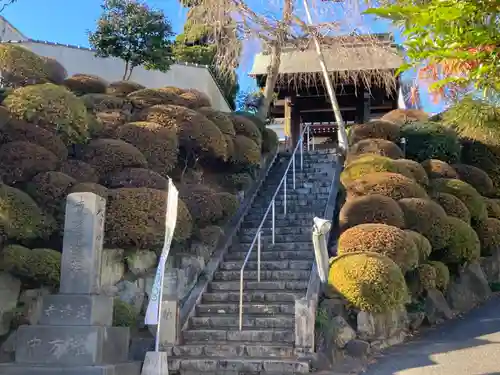 蓮清寺(東京都)