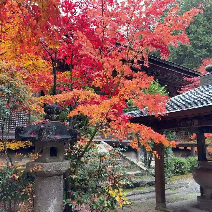 金剛輪寺(滋賀県)