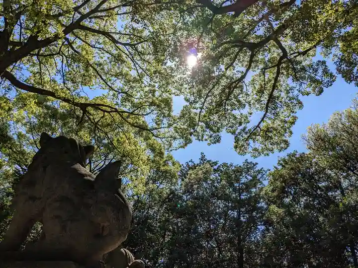 白山神社(二子町)の自然
