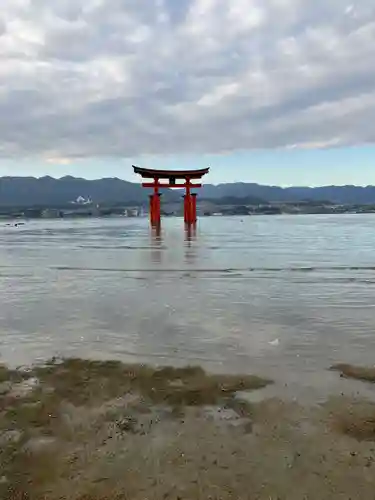 厳島神社の鳥居