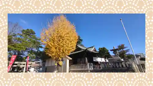 尾久八幡神社(東京都)