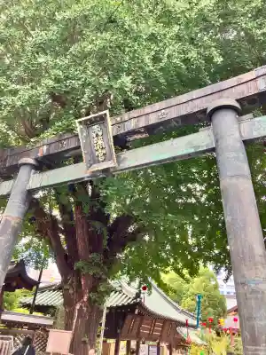 湯島天満宮(東京都)