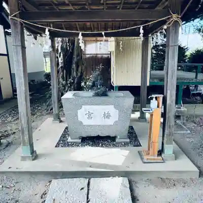 梅宮神社(埼玉県)