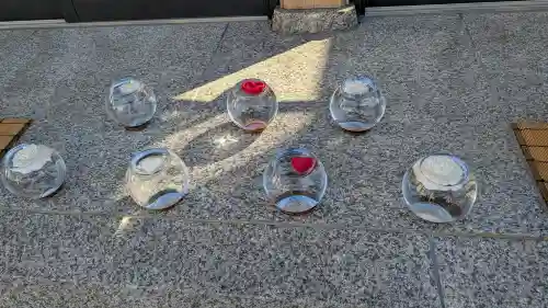 駒込妙義神社の{uncategorized: "未分類", other: "その他", undefined: "問題あり", building: "その他建物", grave: "お墓", sacred_gate: "鳥居", guardian: "狛犬", statue: "像", buddha: "仏像", history: "歴史", nature: "自然", garden: "庭園", animal: "動物", pagoda: "塔", temizu: "手水舎", mountain_gate: "山門・神門", sanctuary: "本殿・本堂", subordinate: "末社・摂社", art: "芸術", scenery: "景色", jizo: "地蔵", ema: "絵馬", goshuin: "御朱印", omikuji: "おみくじ", items: "授与品その他", amulet: "お守り", goshuincho: "御朱印帳", eats: "食事", festival: "お祭り", votive_dance: "神楽", shichigosan: "七五三参", wedding: "結婚式", experience: "体験その他", initially: "初詣", around: "周辺", anti_infection: "感染症対策"}