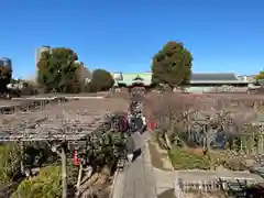 亀戸天神社の景色