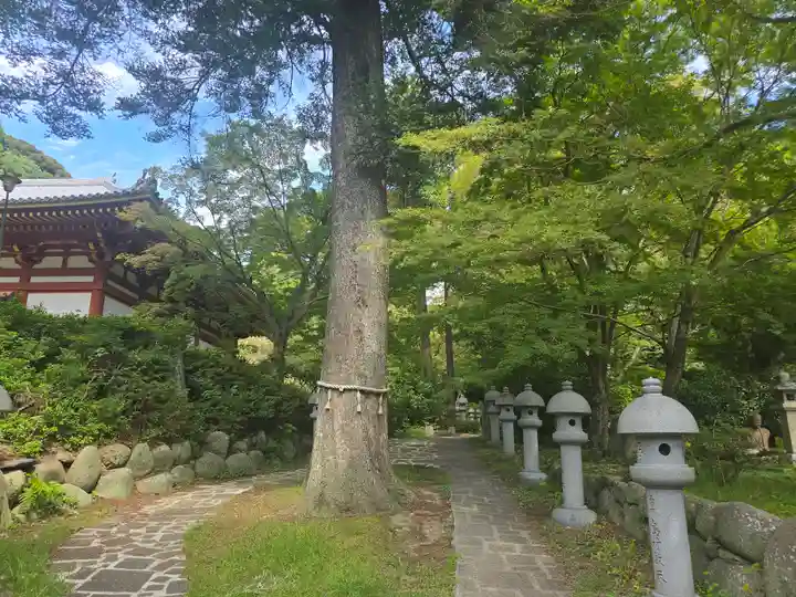 久安寺(大阪府)