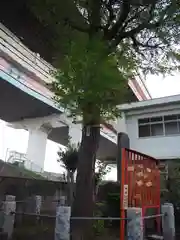 小谷野神社の自然