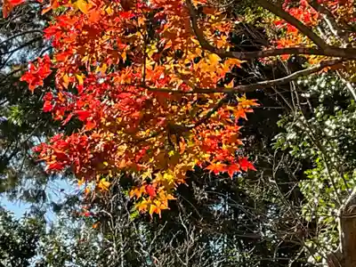 龍潭寺(滋賀県)