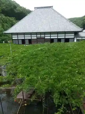 長泉寺(埼玉県)