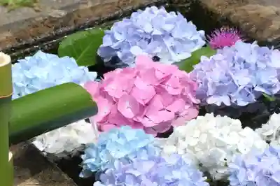 国宝 大法寺の手水舎