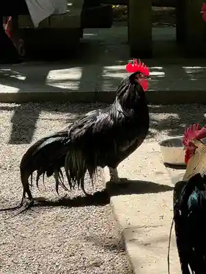 石上神宮(奈良県)