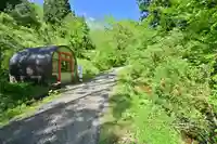 髙龍神社 中社(新潟県)