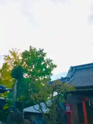 龍ケ崎八坂神社(茨城県)