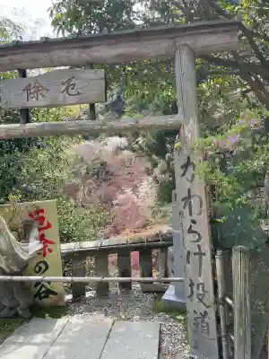 大山寺(神奈川県)