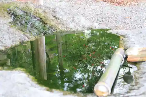 王宮伊豆神社の手水