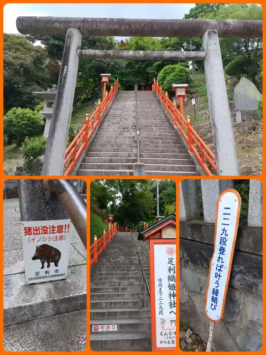 足利織姫神社(栃木県)