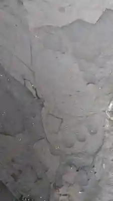 台雲寺(宮崎県)