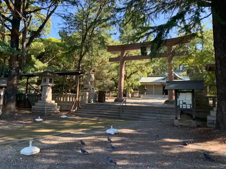 和歌山縣護國神社の鳥居