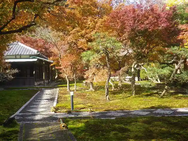 長壽寺(長寿寺)の庭園